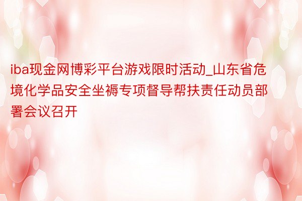 iba现金网博彩平台游戏限时活动_山东省危境化学品安全坐褥专项督导帮扶责任动员部署会议召开